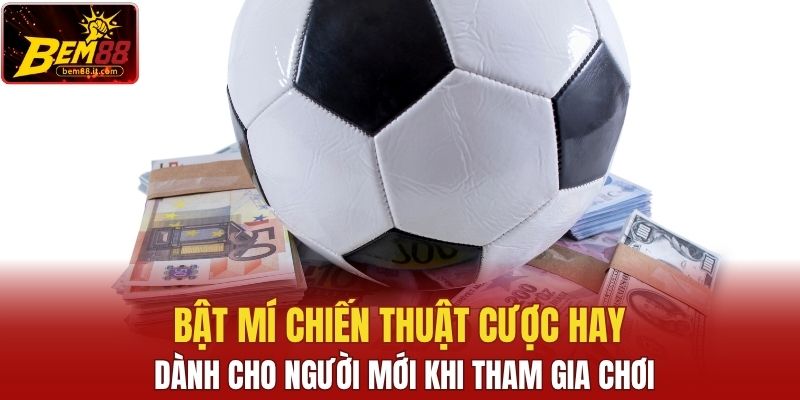 Bật mí chiến thuật cược hay dành cho người mới khi tham gia chơi