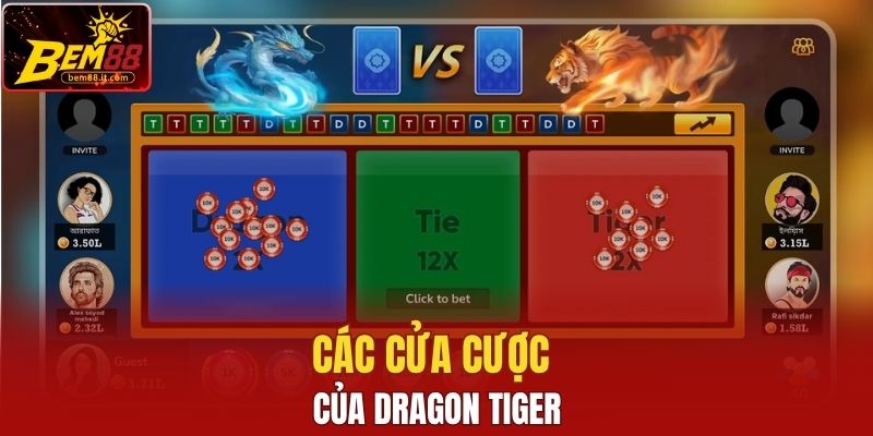 Các cửa cược của Rồng Hổ