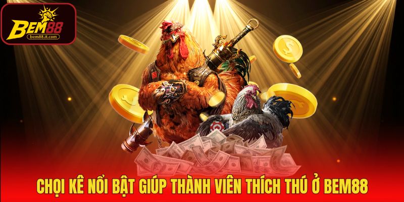 Chọi kê nổi bật giúp thành viên thích thú ở Bem88