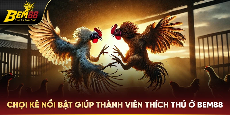 Chọi kê nổi bật giúp thành viên thích thú ở Bem88